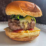Homemade lamb burger in a bun on a white plate
