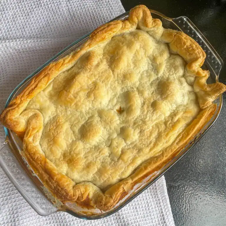 Chicken Stroganoff Pie