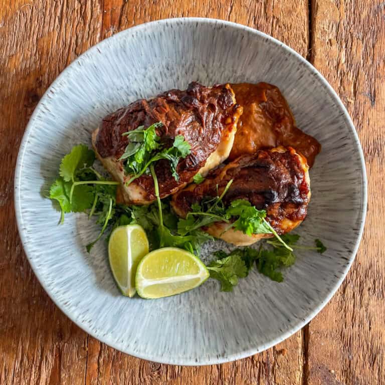 Baked chicken satay Top view