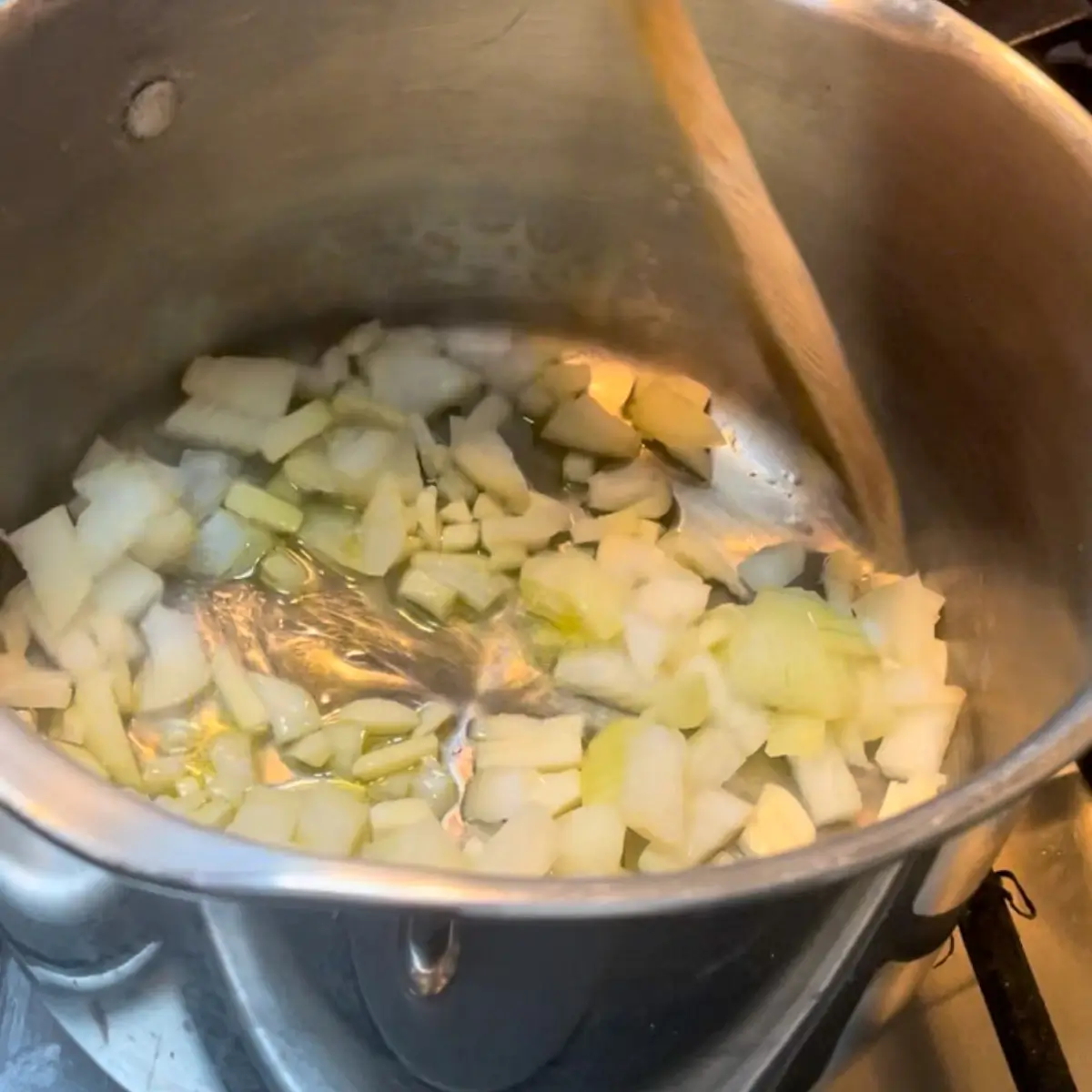 cooking the onion and garlic 